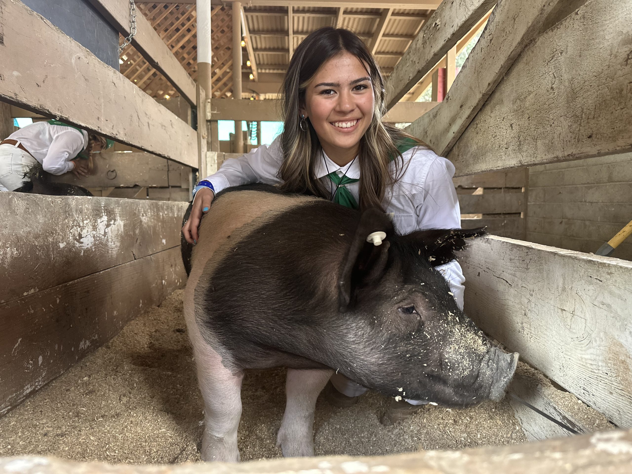 2023 San Benito Heritage Hog auction sets new record BenitoLink