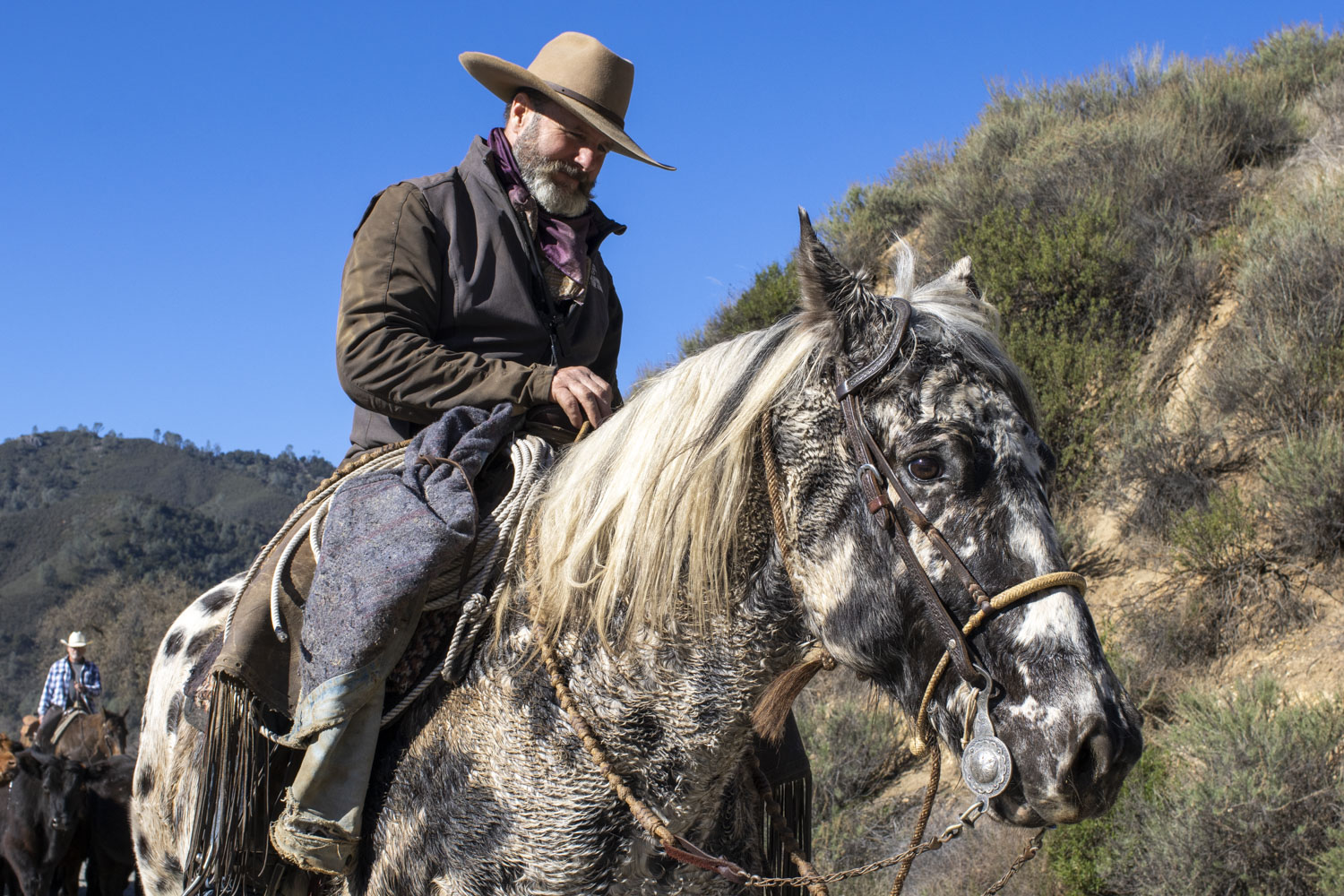 Paicines Ranch Blazing ‘Cowboy Corridors’ in Paicines | BenitoLink