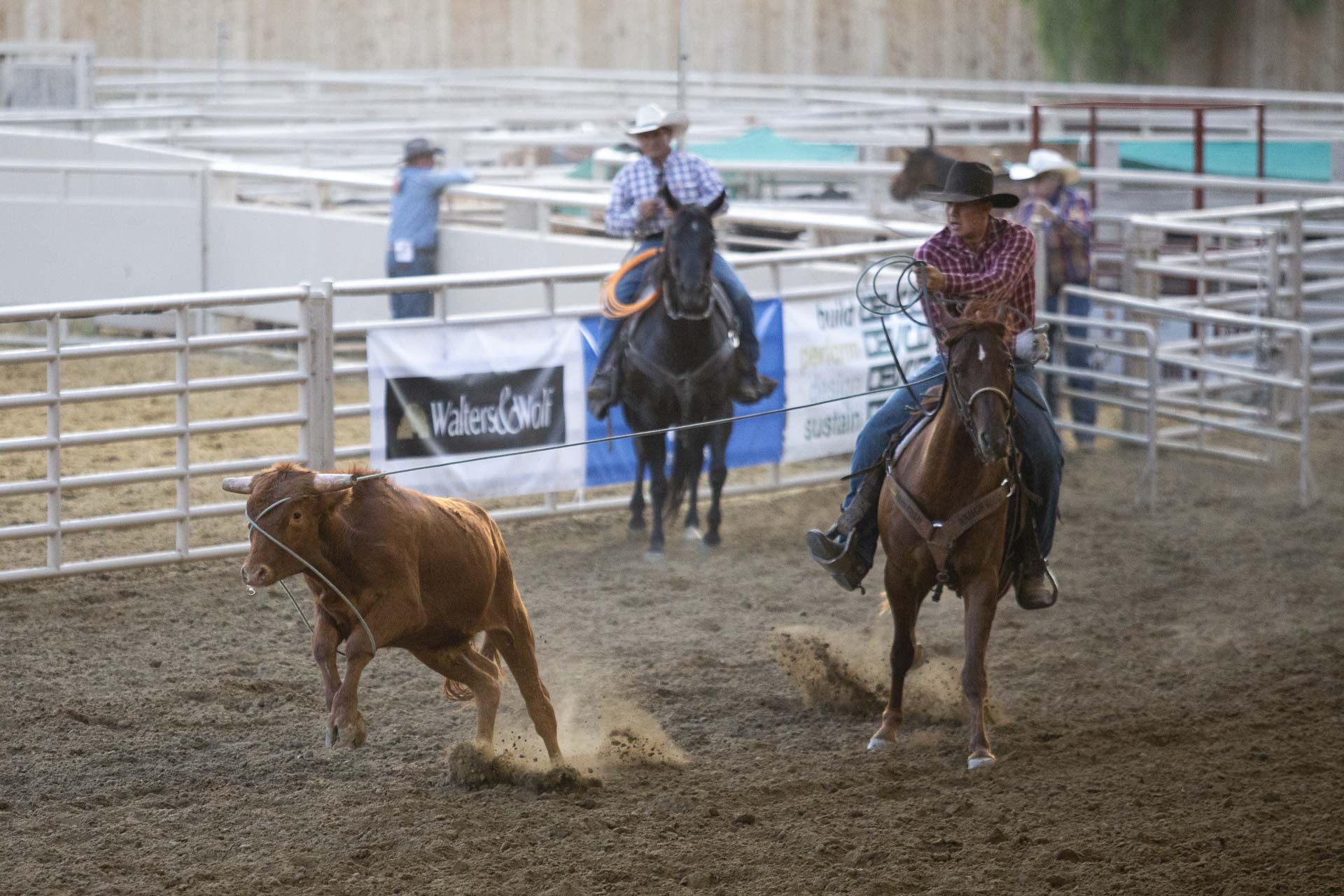 2025 San Benito County Saddle Horse Show & Rodeo Results | BenitoLink