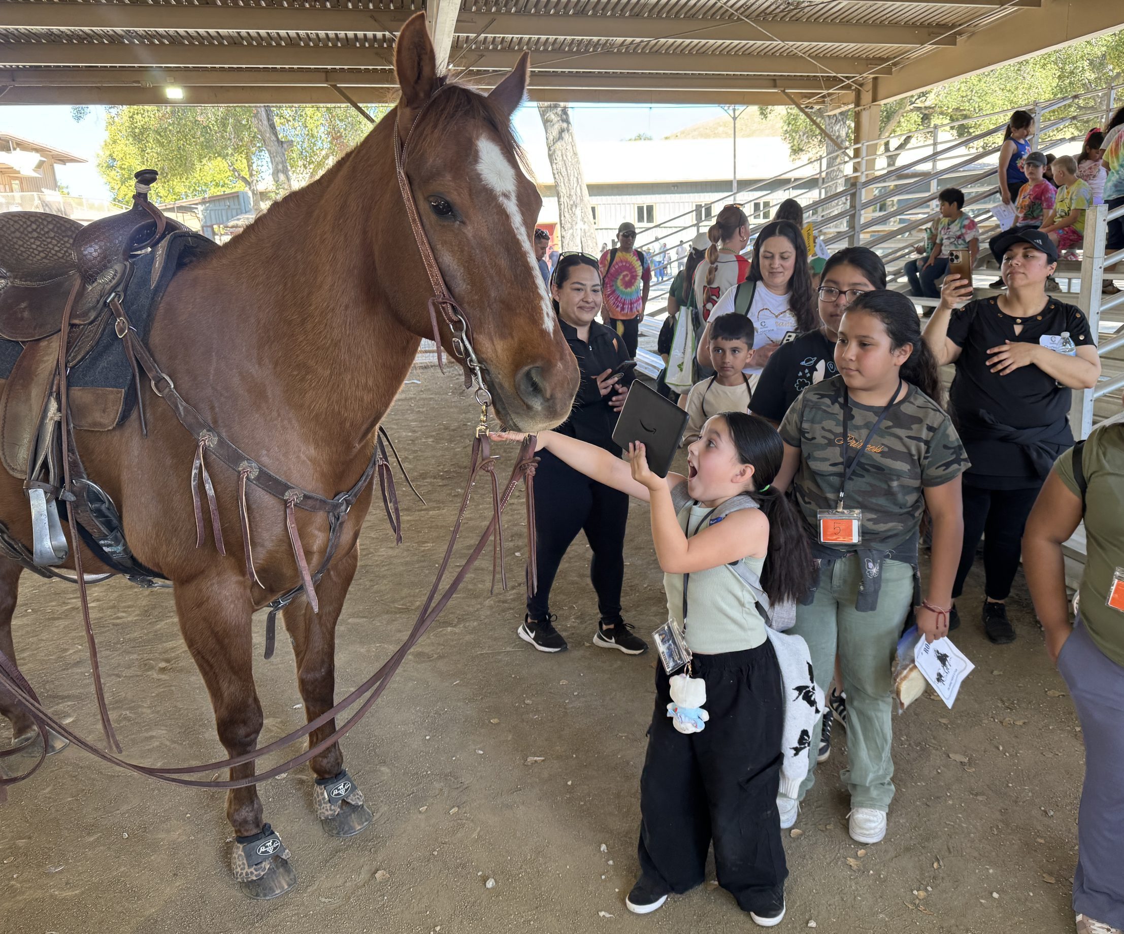 County third-graders take part in Farm Day at Bolado Park 